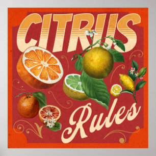 Citrus Vintage retro poster
