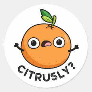 Citrusly Funny Seriously Orange Pun Classic Round Sticker