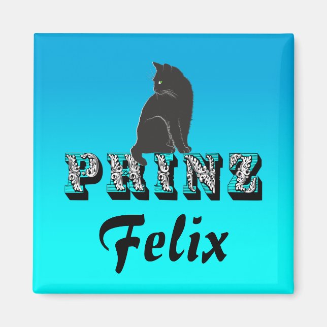 Citty Prinz schwarzer Kater Katze Magnet (Front)