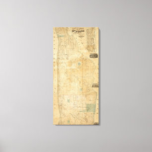 City And County Of New York North Of 50th St Canvas Print