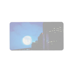 City at night with moon label