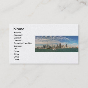 City -  Chicago Skyline & The Navy Pier Business Card