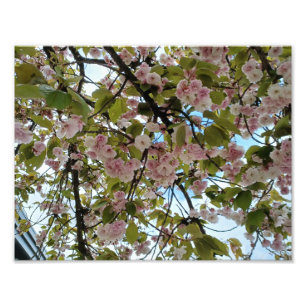 City Escape Photo Print