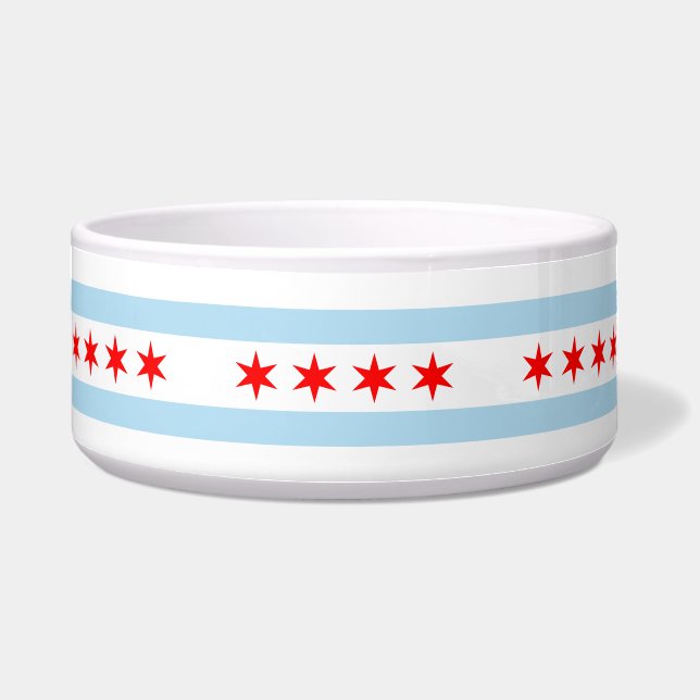 City Flag of Chicago (Illinois) (Front)