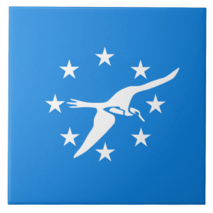 City Flag of Corpus Christi (Texas) Tile