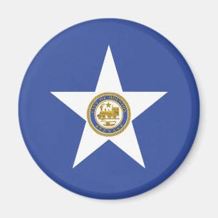City Flag of Houston (Texas) Magnet