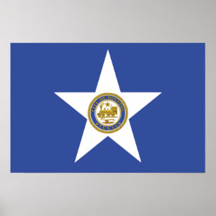 City Flag of Houston (Texas) Poster