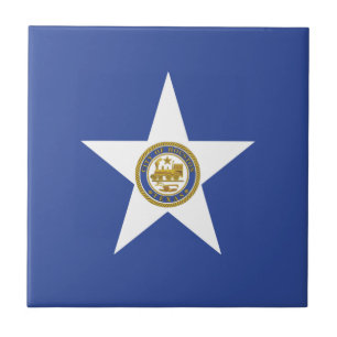 City Flag of Houston (Texas) Tile