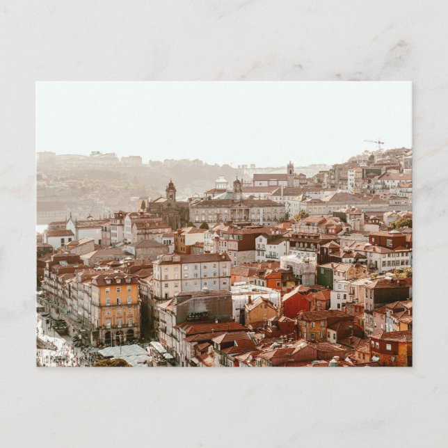 City of Porto during sunset Postcard (Front)