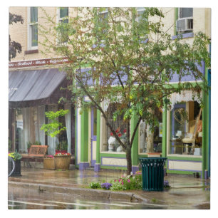 City - Owego NY - On a rainy day Tile