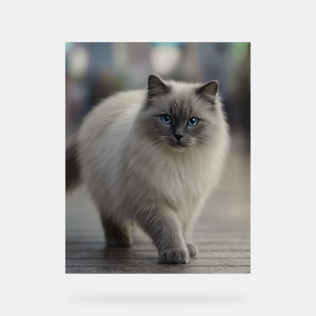 City Strolls and Sapphire Eyes Acrylic Sign (Front)