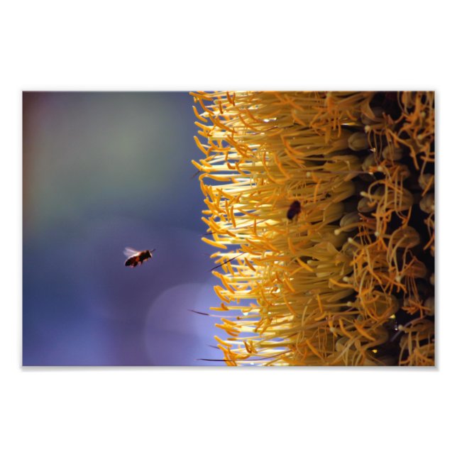 City Terrace Photo Print (Front)