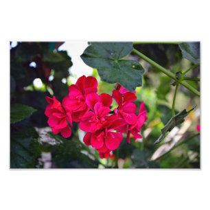 City Terrace Photo Print