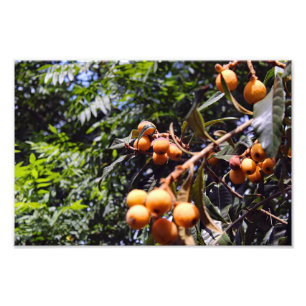 City Terrace Photo Print