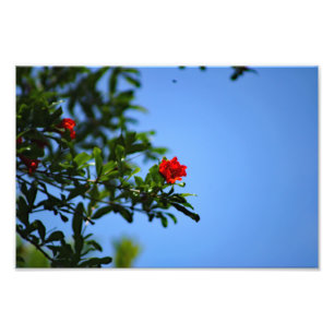 City Terrace Photo Print