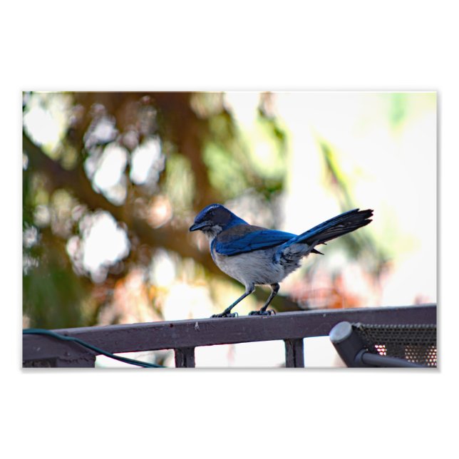 City Terrace Photo Print (Front)