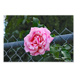 City Terrace Photo Print