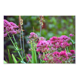 City Terrace Photo Print