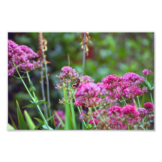 City Terrace Photo Print (Front)