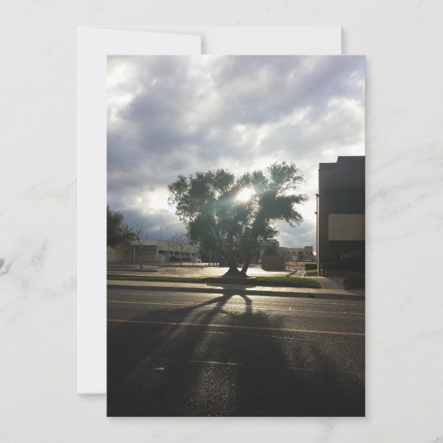 City Tree Announcement (Front)