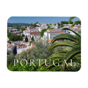 Cityscape of Aveiro, Portugal Magnet