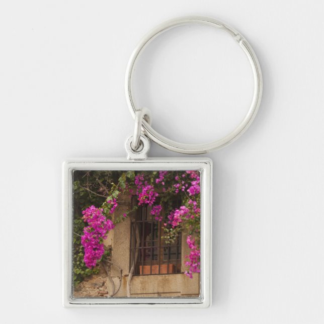 Ciudad Monumental, flower-covered buildings Key Ring (Front)