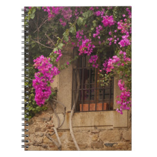 Ciudad Monumental, flower-covered buildings Notebook