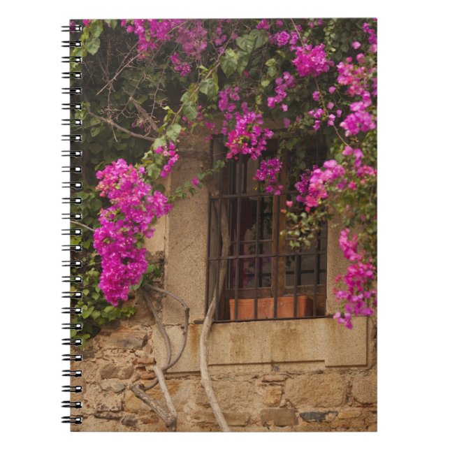Ciudad Monumental, flower-covered buildings Notebook (Front)