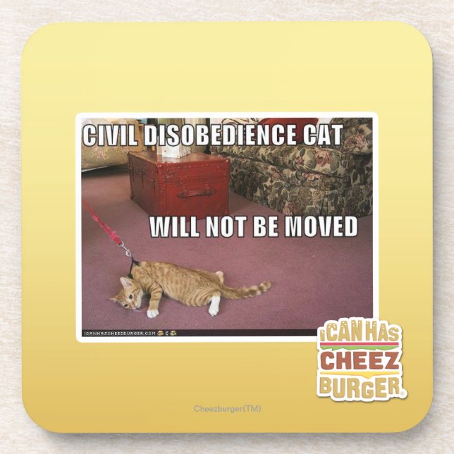Civil Disobedience Cat Coaster (Front)