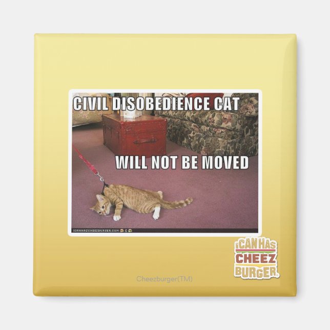 Civil Disobedience Cat Magnet (Front)