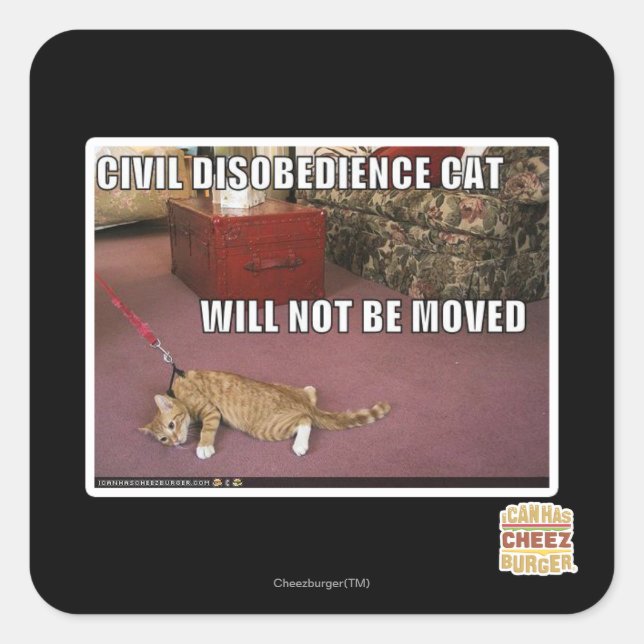 Civil Disobedience Cat Square Sticker (Front)