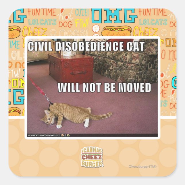 Civil Disobedience Cat Square Sticker (Front)