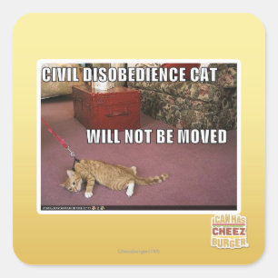 Civil Disobedience Cat Square Sticker