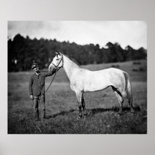 Civil War Horse, 1860s Poster