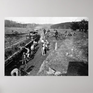 Civil War Railroad at Clifton, Virginia, 1863 Poster