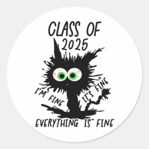 Cl Of 2025 Funny Black Cat Classic Round Sticker