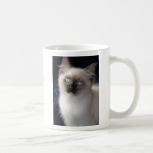 cla1, RW SGCAWillowtreerags'Irish Fancyaka Clancy Coffee Mug