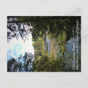 Clackamas River, Oregon Postcard