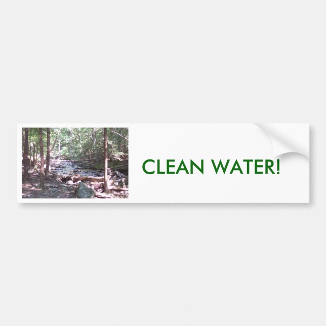 Claean Water Is Priceless! Bumper Sticker (Front)