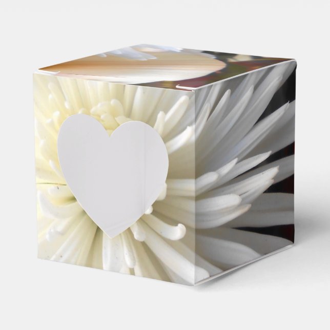 Claicia Favour Box (Front Side)