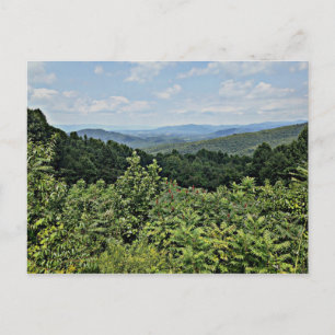 Clair - Shenandoah National Park Postcard