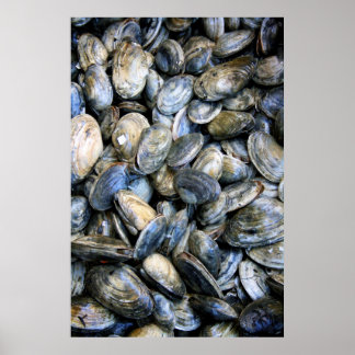 Clam Bake Poster