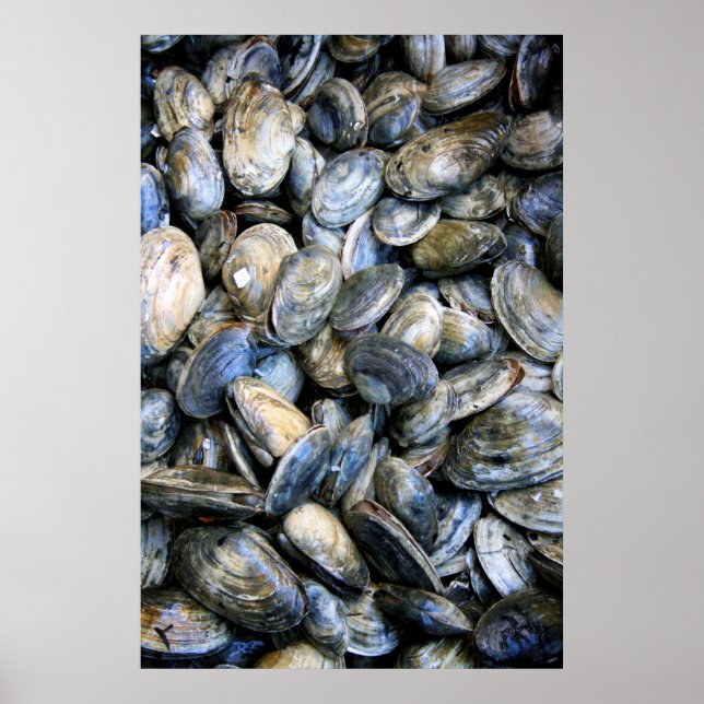 Clam Bake Poster (Front)