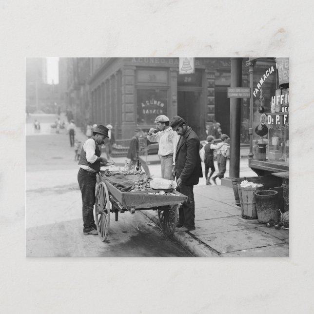 Clam Seller in Little Italy, 1906 Postcard (Front)