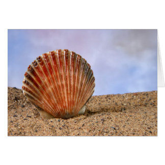Clam shell