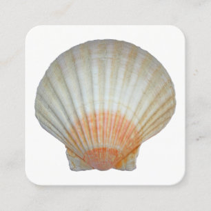 Clam Shell Square Business Card
