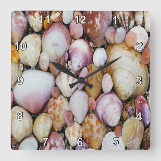 Clam Shell Square Wall Clock (Front)