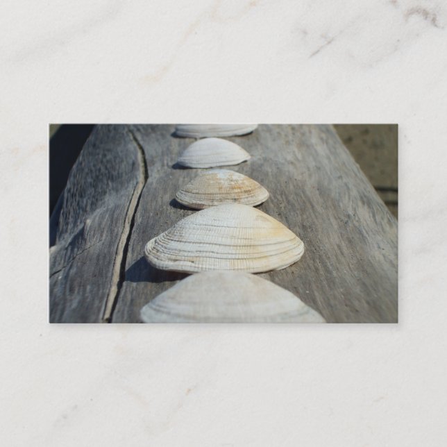 Clam shells business cards (Front)