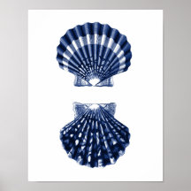 Clam Shells Navy Beach Decor