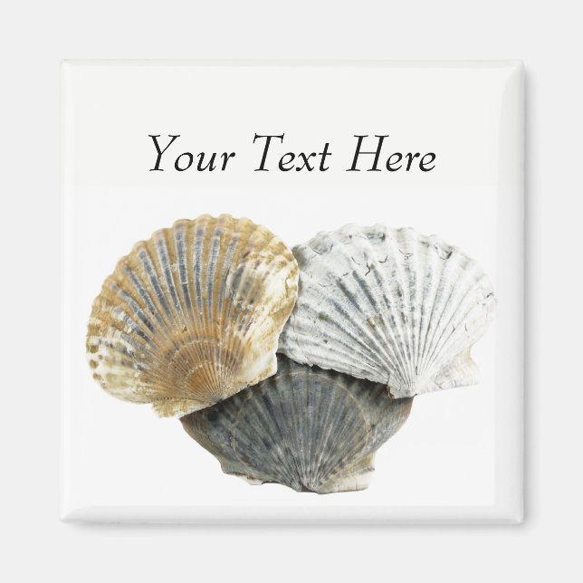 Clam Shells Personalised Magnets (Front)